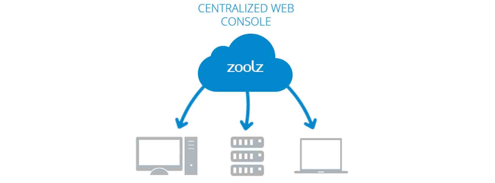 Zoolz Coupons